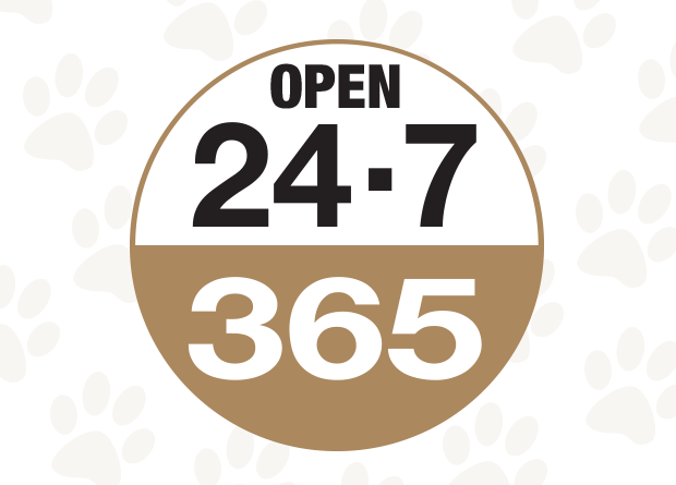 Open 24 Hours a Day, 365 Days a Year