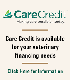 Care Credit for Veterinary Financing