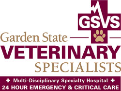 GSVS logo