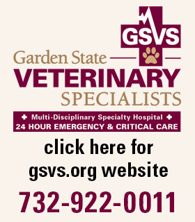 Gsvservices 24 Hour Emergency Veterinary Care