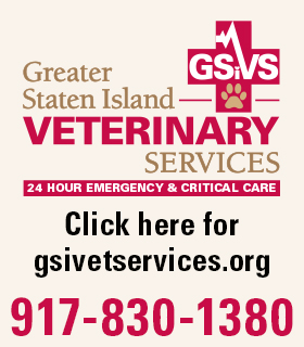 Greater Staten Island Veterinary Services