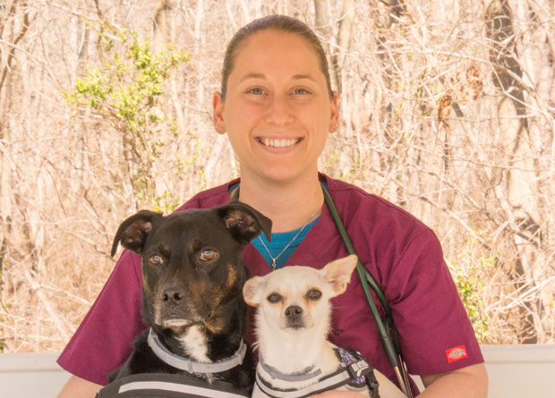 Allison Rohde Newgent, DVM Allison Rohde Newgent, DVM