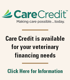 Care Credit