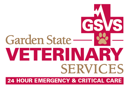 Gsvservices 24 Hour Emergency Veterinary Care