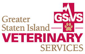 GSiVS Logo, Staten Island, NY