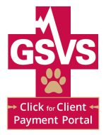Client Payment Portal