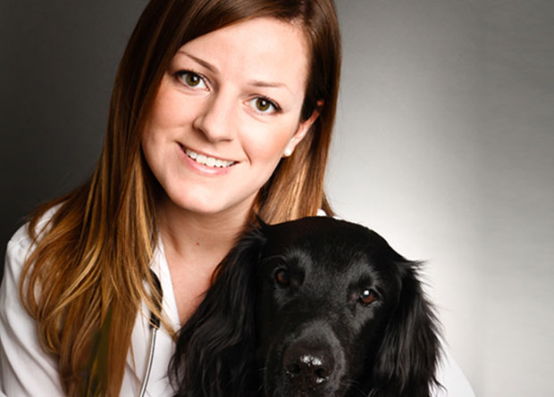 Gsvservices 24 Hour Emergency Veterinary Care