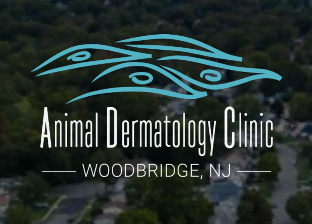 Animal Dermatology Clinic Woodbridge